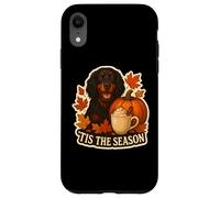 Tis The Season Gordon Setter Dog Autunno Autunno Zucca Spice Custodia per iPhone XR