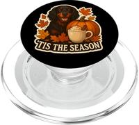 Tis The Season Gordon Setter Dog Autunno Autunno Zucca Spice PopSockets PopGrip per MagSafe