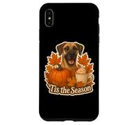 Tis The Season Great Dane Dog Autunno Autunno Zucca Spice Carino Custodia per iPhone XS Max