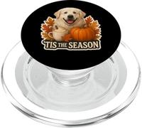 Tis The Season Great Pyrenees Dog Autunno - Zucca speziata PopSockets PopGrip per MagSafe