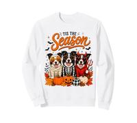 Tis The Season Halloween Border Collie Pumpkin Costume Felpa