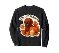 Tis The Season Irish Setter Dog Fall Autunn Pumpkin Spice Felpa