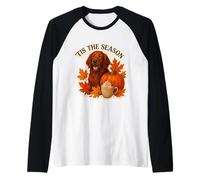 Tis The Season Irish Setter Dog Fall Autunn Pumpkin Spice Maglia con Maniche Raglan