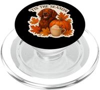 Tis The Season Irish Setter Dog Fall Autunn Pumpkin Spice PopSockets PopGrip per MagSafe