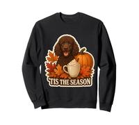 Tis The Season Irish Water Spaniel Cane Autunno Zucca Felpa
