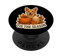 Tis The Season Lakeland Terrier Cane Autunno Autunno Zucca Carino PopSockets PopGrip Adesivo
