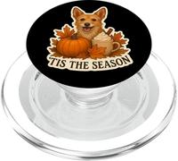 Tis The Season Lakeland Terrier Cane Autunno Autunno Zucca Carino PopSockets PopGrip per MagSafe