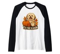 Tis The Season Lhasa Apso Cane Autunno Autunno Zucca Spice Carino Maglia con Maniche Raglan