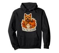 Tis The Season Norwich Terrier Cane Autunno Autunno Zucca Spice Felpa con Cappuccio