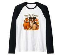 Tis The Season - Pastore Americano in Miniatura, Autunno Maglia con Maniche Raglan