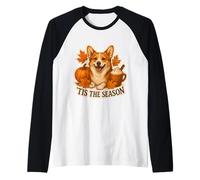Tis The Season Pembroke Welsh Corgi Dog Autunno Zucca Maglia con Maniche Raglan