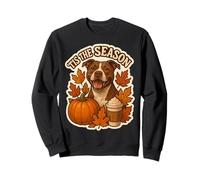 Tis The Season Pit Bull Dog Autunno Autunno Zucca Spice Latte Felpa