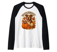 Tis The Season Pit Bull Dog Autunno Autunno Zucca Spice Latte Maglia con Maniche Raglan