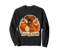 Tis The Season Rhodesian Ridgeback Dog Autunno Zucca Felpa