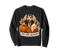 Tis The Season Saluki Dog Owner Autunno Autunno Zucca Spice Felpa
