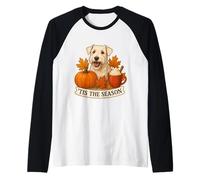 Tis The Season Sealyham Terrier - Tazza a Forma di Zucca Autunnale Maglia con Maniche Raglan