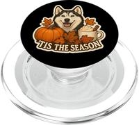 Tis The Season Siberian Husky Dog Autunno Autunno Zucca Spice PopSockets PopGrip per MagSafe