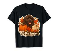 Tis The Season Terranova Cane Autunno Autunno Zucca Spice Maglietta