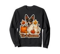 Tis The Season Toy Fox Terrier Cane Autunno Autunno Zucca Carino Felpa