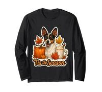 Tis The Season Toy Fox Terrier Cane Autunno Autunno Zucca Carino Maglia a Manica