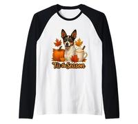 Tis The Season Toy Fox Terrier Cane Autunno Autunno Zucca Carino Maglia con Maniche Raglan