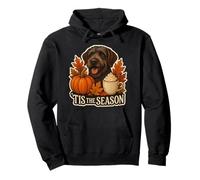 Tis The Season Wirehaired Pointing Griffon Dog Autunno Autunno Felpa con Cappuccio