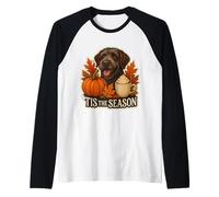 Tis The Season Wirehaired Pointing Griffon Dog Autunno Autunno Maglia con Maniche Raglan