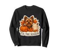 Tis The Season Yorkshire Terrier Cane Autunno Autunno Zucca Cucciolo Felpa