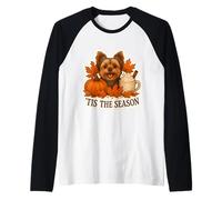 Tis The Season Yorkshire Terrier Cane Autunno Autunno Zucca Cucciolo Maglia con Maniche Raglan