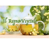 TISANA a Scelta ERBE SELEZIONATE/CERTIFICATE Prima qualità x ogni Problematica