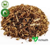 Tisana alla radice di echinacea per influenza e raffreddore, Echinacea purpurea