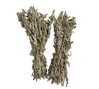 Tisana alla Salvia Greca Selvatica Mazzo Intero 220 grammi - 1.95 Chili Classe A Salvia Triloba (950 grammi)