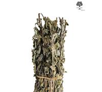 Tisana alla Salvia Greca Selvatica Mazzo Intero 220g-1,95Kg Raccolta 2025