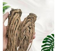 Tisana Naturale Biologica Alla Radice Intera Di Angelica Cinese Tradizionale Tisana Cinese Dal Sapore Intenso E Distinto Priva Di Additivi E Profumata Che Allevia La Stanchezza (500g)