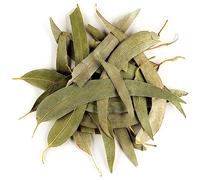 Tisana Sfusa Di Eucalipto Biologico - Dolce E Avvolgente Per La Gola - Pianta Di Eucalitto Infuso Di Eucalipto Secco Eukalyptus Pianta Eucalipto Pianta Dolci Biologici Eucalyptus Pianta