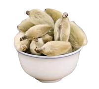 Tisana Sfusa Flos Magnoliae Lilliflorae Magnolia Boccioli Xin Yi Hua Biologica Senza Additivi Dissipa Vento E Raffreddore E Libera Il Naso Infuso Di Fiori E Frutta (500g)