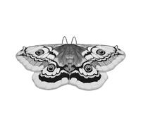 TISHITA Accessorio per Costume da Farfalla di Halloween, Mantello con, Mantello da Farfalla con Comode Cinghie per Feste di Compleanno a Tema Carnevale PE, Nero Bianco 117cm