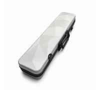 TISHITA Custodia Stecca Biliardo Rigida Porta Stecca Astuccio Biliardo Valigetta Zippata Profilo Strutturato Ordine E Conservazione Sicura Adatta a Tornei, Array, Argento