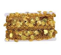 Tissting Catena di paillettes, gonna paillettes donna cintura di nappa conchiglia, sciarpa di anca d'oro Mini Sparkly Wrap Fringe Costume per danza del ventre, cucito, feste a tema, lauree