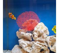 Tissting Corallo Artificiale per Acquario, Decorazione Realistica in PVC con Piante Finte per Pesci, Design Unico per Fish Tank e Appassionati di Acquario
