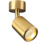 TIST Downlight LED Faretto da soffitto Luminoso Oro Angolo Regolabile Soggiorno Bar Ingresso Piccolo Downlight