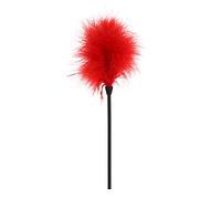 TISVY Frusta Sportiva con Piuma per solletico Piuma per Principianti,Red