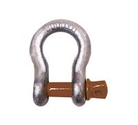 Titan 5/16 pollici caldo zincato arco tipo grillo dell'ancora, 41702 tonnellate WLL