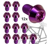 Titan M5x8 Torx Bicicletta e-Bike Disco Sl Bremsscheiben-Schrauben (12er Set Da