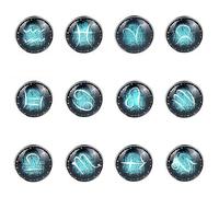 Titanio luminoso dodici costellazioni orecchini Giappone e Corea del Sud uomini e donne, Metallo