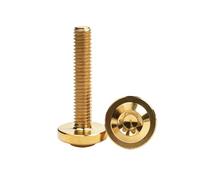 Titanium Bolt M4 M5 M6 M8 Head Screw For Part Modification Fastener Length10/15/20/25/30/35/40/45/50/55/60mm 1Pcs(Golden,M8x45mm)