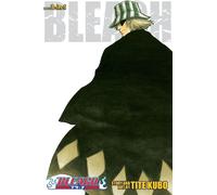 Bleach (3-in-1 Edition), Vol. 2 : Includes vols. 4, 5 & 6 Volume 2: Omnibus Edition 4-6