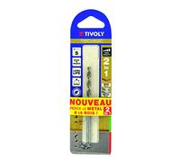 Tivoly 10804420800 Blister di 1 punta bois-métal 2 in 1 Technic graduati, Oro, Ø 8 mm