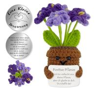 Tixlux Pocket Hug - Pianta positiva, creativo in lana lavorata a maglia, bambola e piccolo abbraccio, portafortuna, regalo per un buon miglioramento, regalo per l'inizio della scuola (Non dimenticare