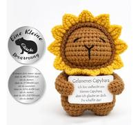 Tixlux Pocket Hug Positive Positive Positives Capybara, lana creativa a a farfalla e piccolo abbraccio, portafortuna, regalo per un buon miglioramento, regalo per l'inizio della scuola